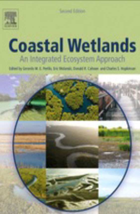 Coastal Wetlands
