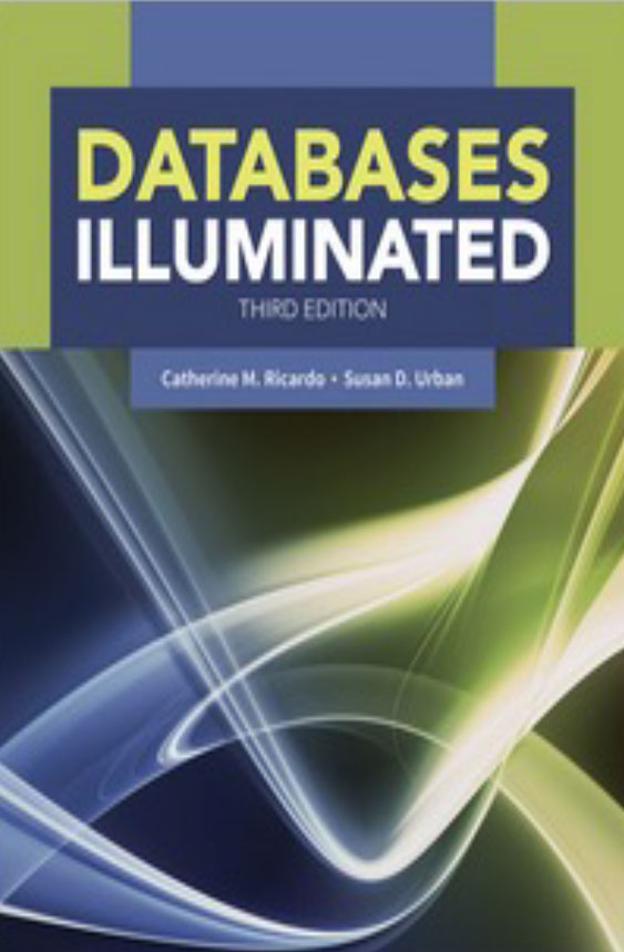 Databases Illuminated